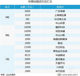 跨境電商有棵樹獲近4億元C輪融資,將建設全球商品流通網絡