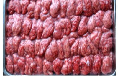 威海昊成貿(mào)易 單擺豬腦 收購(gòu)豬苦膽 批發(fā)豬副產(chǎn)品 價(jià)格豬副產(chǎn)品圖片_高清圖_細(xì)節(jié)圖