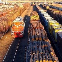  海南省南方原竹木批發(fā)市場(chǎng) 主營(yíng) 原木 竹. 瓜菜 水