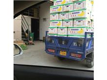 保健品源頭廠家商品服務(wù)與報價詳情